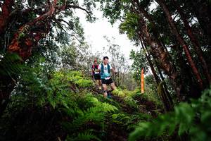 BIB: 
                            <button type="button" onclick="openModal(26203981)" class="btn btn-primary btn-sm float-right btn-popup" data-toggle="modal" data-target=".modal-high-quality">
                        <i class="fas fa-shopping-cart"></i> Add to Cart
                    </button>
                                            <button type="button" onclick="isThisMe(26203981, true)" class="btn btn-success btn-sm float-right btn-popup btn-isme hidden" data-toggle="tooltip" data-placement="bottom" title="นี่คือรูปของคุณใช่ไหม คลิกที่นี่เพื่อเอาเข้าอัลบั้ม">
                        <i class="fas fa-plus"></i> Add to album
                    </button>
                    <button type="button" onclick="isThisMe(26203981, false)" class="btn btn-warning btn-sm float-right btn-popup btn-isnotme hidden">
                        <i class="fas fa-ban"></i> Remove from album
                    </button>